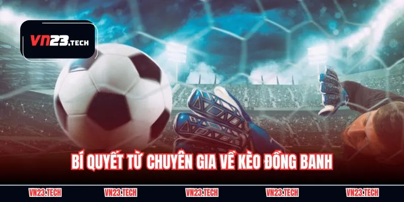 Bí quyết từ chuyên gia về kèo đồng banh