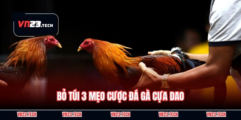 Bỏ túi 3 mẹo cược đá gà cựa dao
