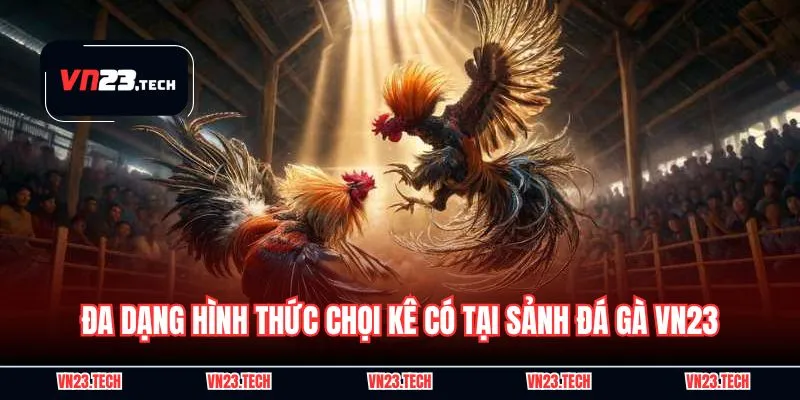 Đa dạng hình thức chọi kê có tại sảnh đá gà VN23