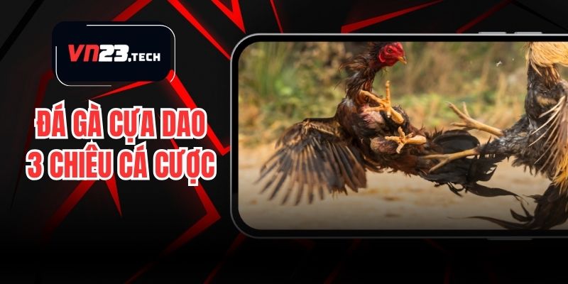 Đá Gà Cựa Dao - 3 Chiêu Cá Cược Cho Người Mới Bắt Đầu