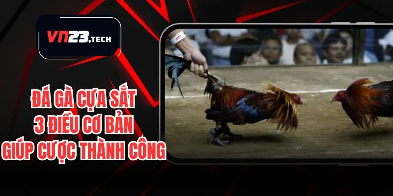 Đá Gà Cựa Sắt - Chia Sẻ 3 Điều Cơ Bản Giúp Bạn Thành Công