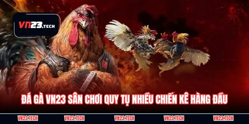 Đá gà VN23 sân chơi quy tụ nhiều chiến kê hàng đầu