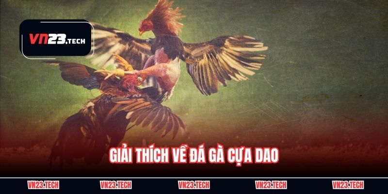 Giải thích về đá gà cựa dao