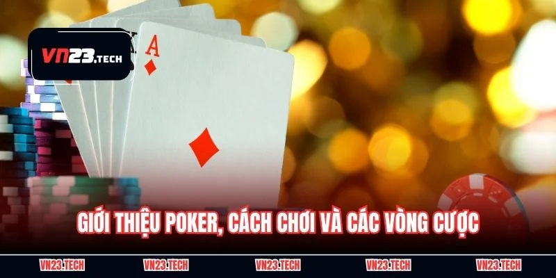 Giới thiệu poker, cách chơi và các vòng cược