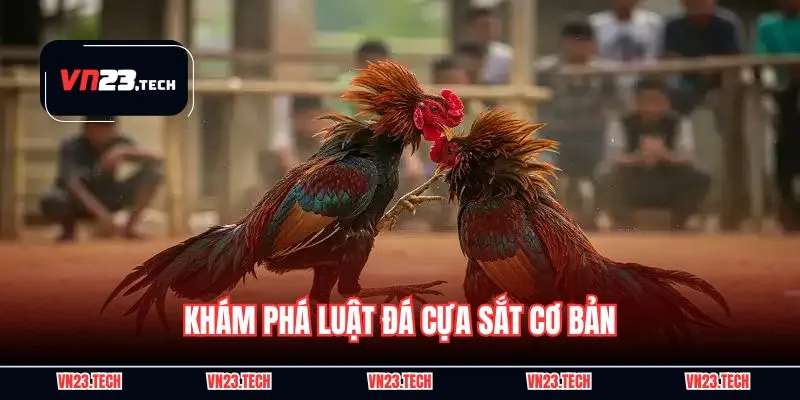 Khám phá luật đá cựa sắt cơ bản