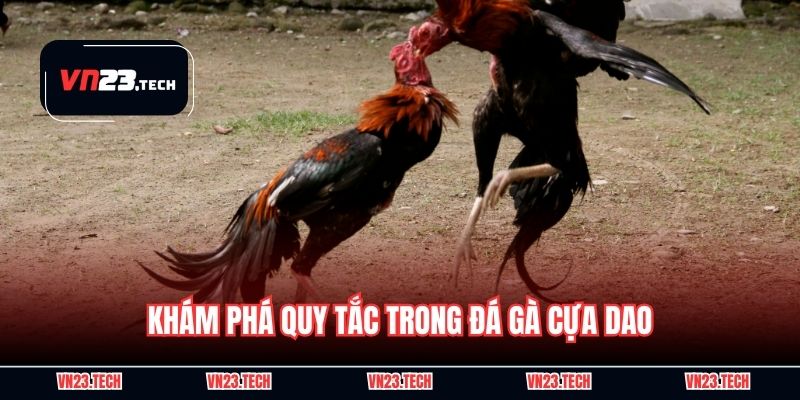 Khám phá quy tắc trong đá gà cựa dao