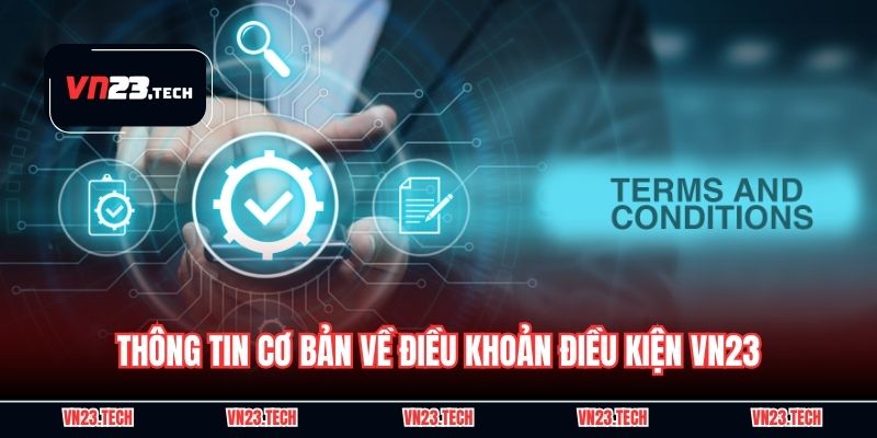 Thông tin cơ bản về điều khoản điều kiện VN23