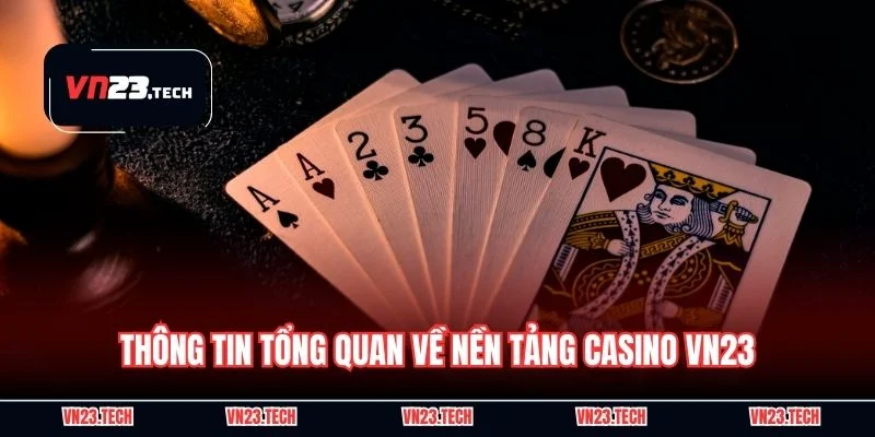 Thông tin tổng quan về nền tảng casino VN23