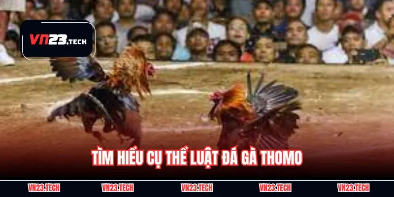 Tìm hiểu cụ thể luật đá gà Thomo