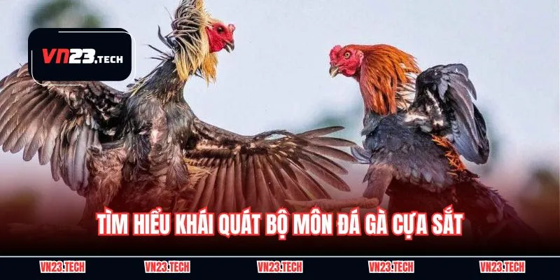 Tìm hiểu khái quát bộ môn đá gà cựa sắt